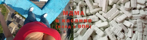 индика Алзамай