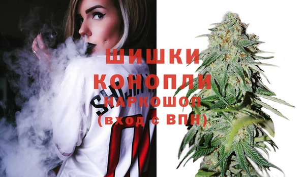 индика Алзамай