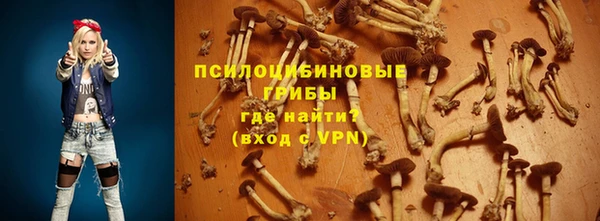 индика Алзамай