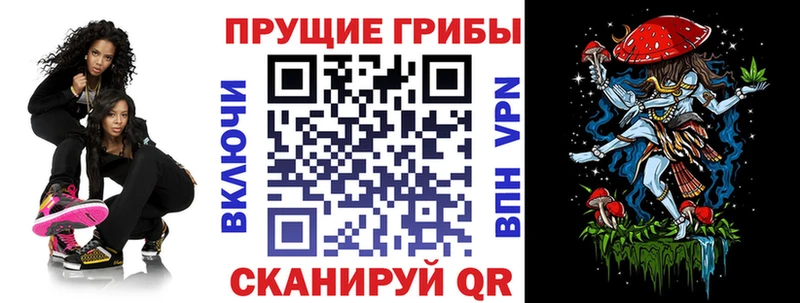 Галлюциногенные грибы Cubensis  Грязи 